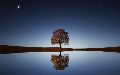 God wants to set you free